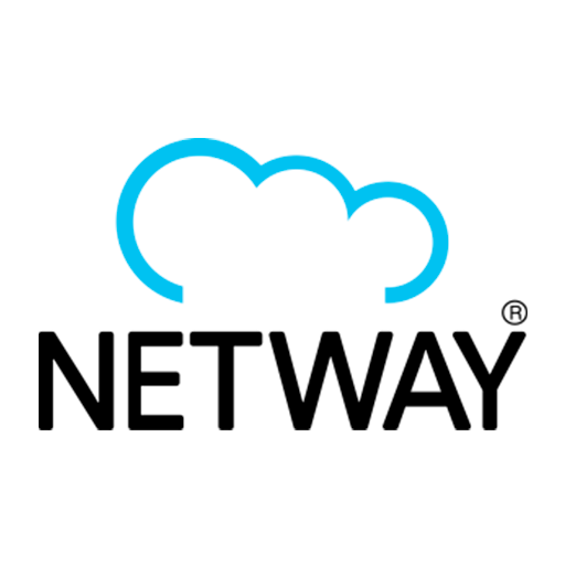 Logo_Netway